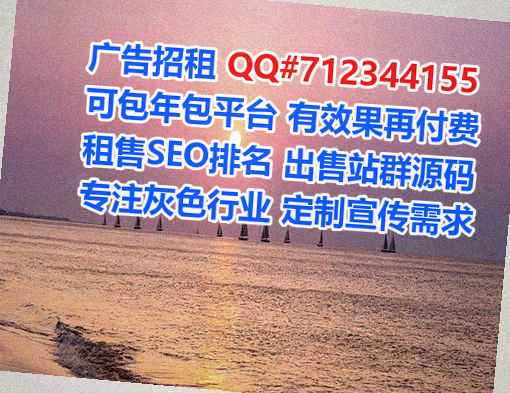 桂东试管数码事务所